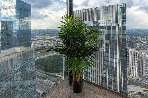 View Apartments!!! — 18