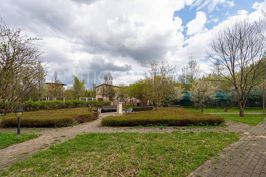 Novogorsk! Plot! — 10