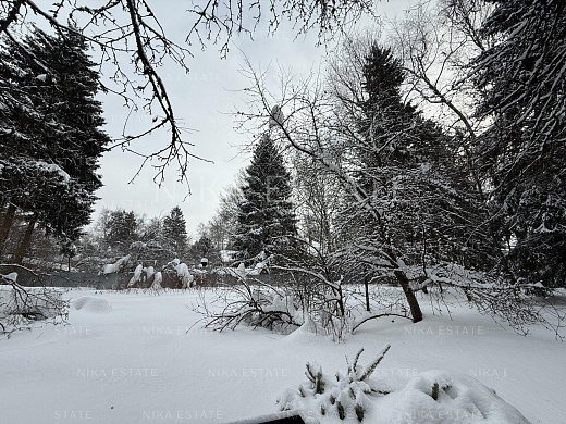 Родовое поместье — 12