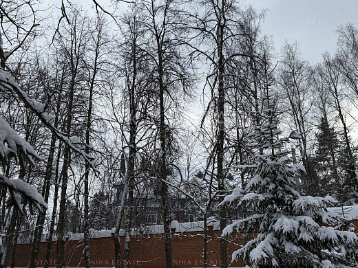 Родовое поместье — 16