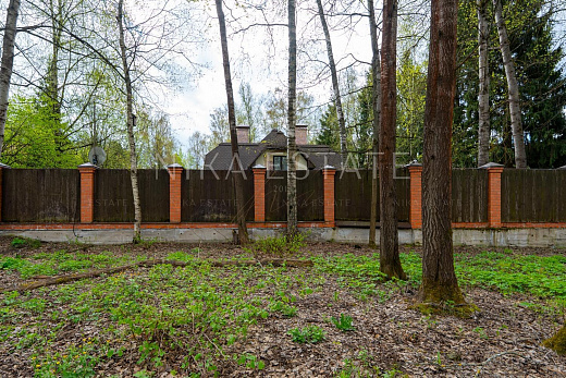 Novogorsk! Plot! — 4