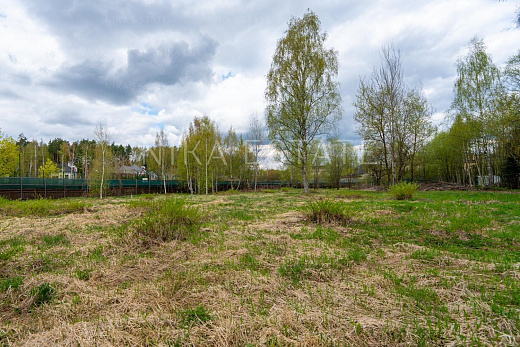 Novogorsk! Plot! — 15