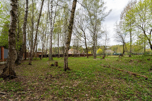 Novogorsk! Plot! — 17