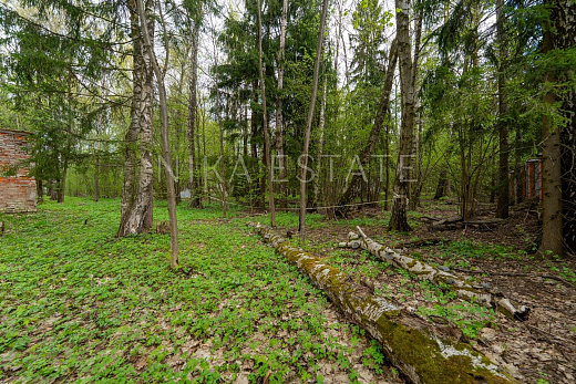Novogorsk! Plot! — 18